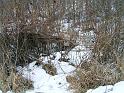 20110219 039